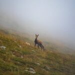 Hotel Calypso Bulharsko recenze: Recenze a zkušenosti hostů 39 Hotel Calypso Bulharsko recenze: Recenze a zkušenosti hostů