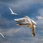 Hotel Kotva Bulharsko - Nejnovější recenze a zážitky 23 Hotel Kotva Bulharsko – Nejnovější recenze a zážitky