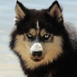 Ceny v Thajsku 2016: Jak se změnily ceny za poslední roky.