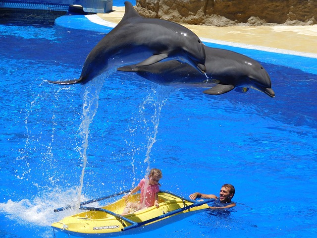 Delfinárium Turecko Cena: Zážitky s Mořskými Savci