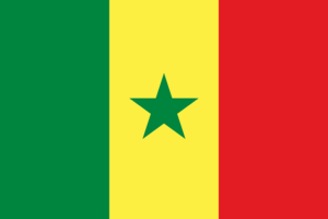 Senegal dovolená zkušenosti: Exotická dobrodružství v západní Africe 20 Senegal dovolená zkušenosti: Exotická dobrodružství v západní Africe