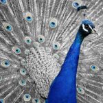 Hotel Paradise Beach Bulharsko recenze: Kde strávit dokonalou dovolenou 21 Hotel Paradise Beach Bulharsko recenze: Kde strávit dokonalou dovolenou