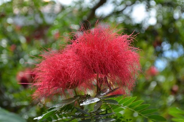 Krásy Albánie: Objevte její úchvatné přírodní scenérie