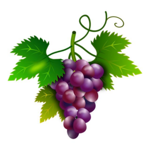 Kam v Únoru Levně k Moři: Ideální Čas pro Únik od Zimy! 11 Kam v Únoru Levně k Moři: Ideální Čas pro Únik od Zimy!