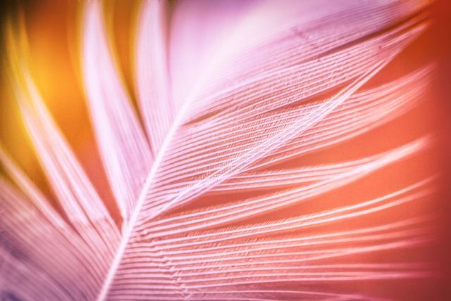 Levné Výlety do Zahraničí k Moři Rodina: Nezapomenutelné Zážitky pro Celou Rodinu! 2 1. Nabídka Levných Letních Aktivit Pro Děti na Pláži: Od Skákání do Vln Po Stavění Pískových Hradů