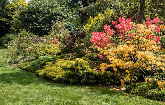 - ⁤Nejlepší Způsoby, Jak‌ Ušetřit na Dopravě k Moři