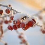 Jak je vzdálené Krabi od Phuketu: Praktické informace pro cestovatele