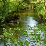 Řeky Polska: Průvodce nejkrásnějšími vodními tok