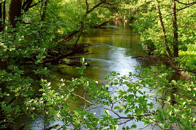 Řeky Polska: Průvodce nejkrásnějšími vodními tok
