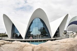 Oceanarium Polsko: Podmořský Svět Plný Úžasných Tváří