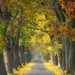 Polsko pro Děti: Nejlepší Atrakce a Aktivity 23 Polsko pro Děti: Nejlepší Atrakce a Aktivity