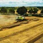 Polsko zemědělství: Jak vypadá venkovský život a co se pěstuje