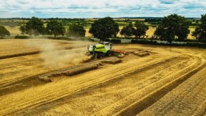 Polsko zemědělství: Jak vypadá venkovský život a co se pěstuje