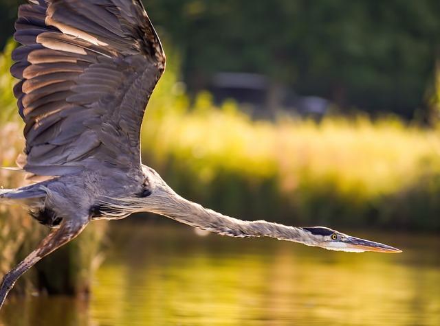 Vzletné a slevy pro turisty: Jak ušetřit peníze během pobytu na pobřeží