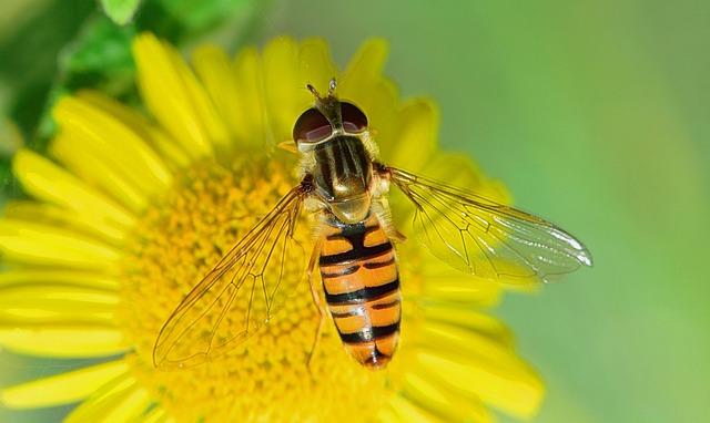 Nejhezčí pláže v Polsku: Kde najít kousek ráje na pobřeží Baltského moře 2 Krystalicky čisté vody a bílý písek: Přírodní krása pláže Łeba