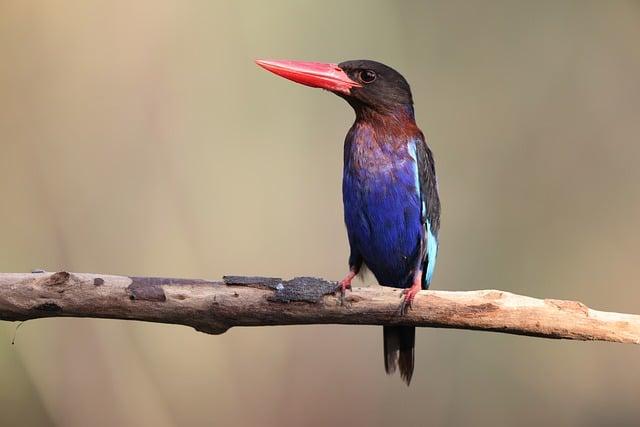 - Poznejte unikátní geologii Indonésie: Vliv sopek na krajinu