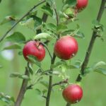 Kam na hory do Itálie: Objevte nejkrásnější horské vrcholy! 56 Kam na hory do Itálie: Objevte nejkrásnější horské vrcholy!