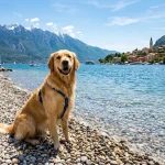 Italská jezera se psem: Garda, Como, Maggiore – Tipy na ubytování, psí pláže a pravidla 22 italská jezera se psem